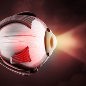 retina vitreous treatments